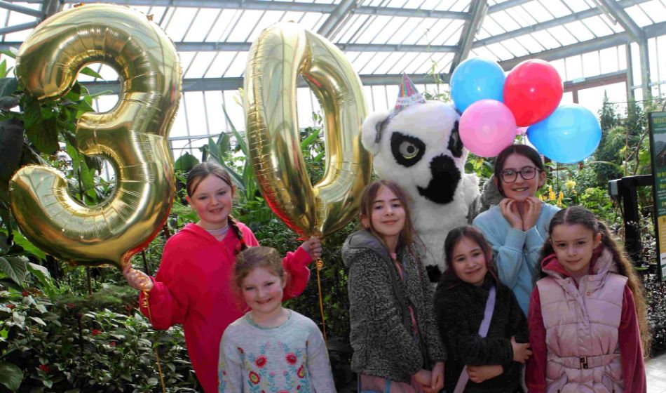 30th Birthday Celebrations article image